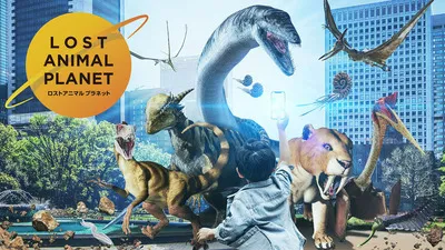 LOST ANIMAL PLANET